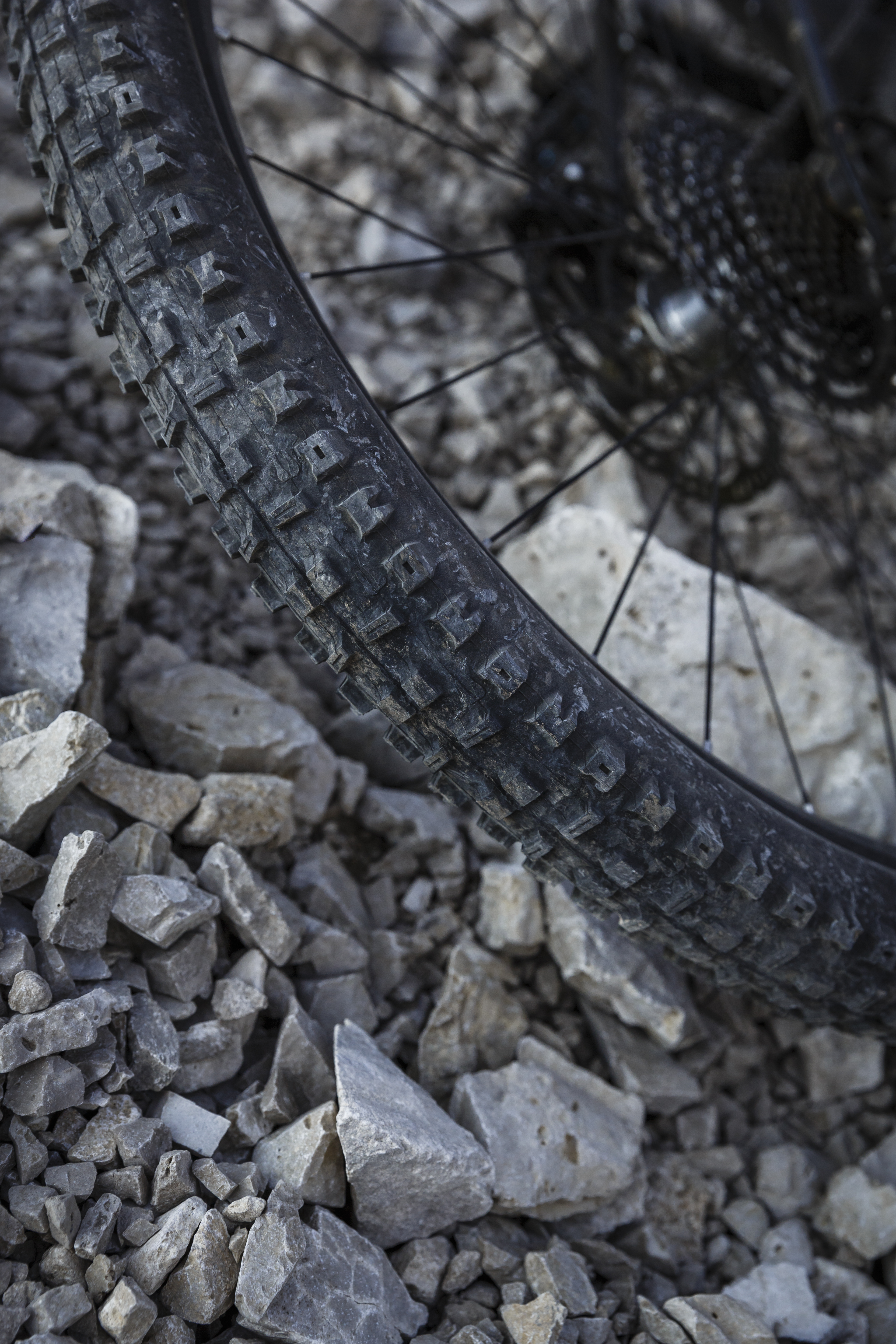 lookbook_innsbruck_07961.jpg